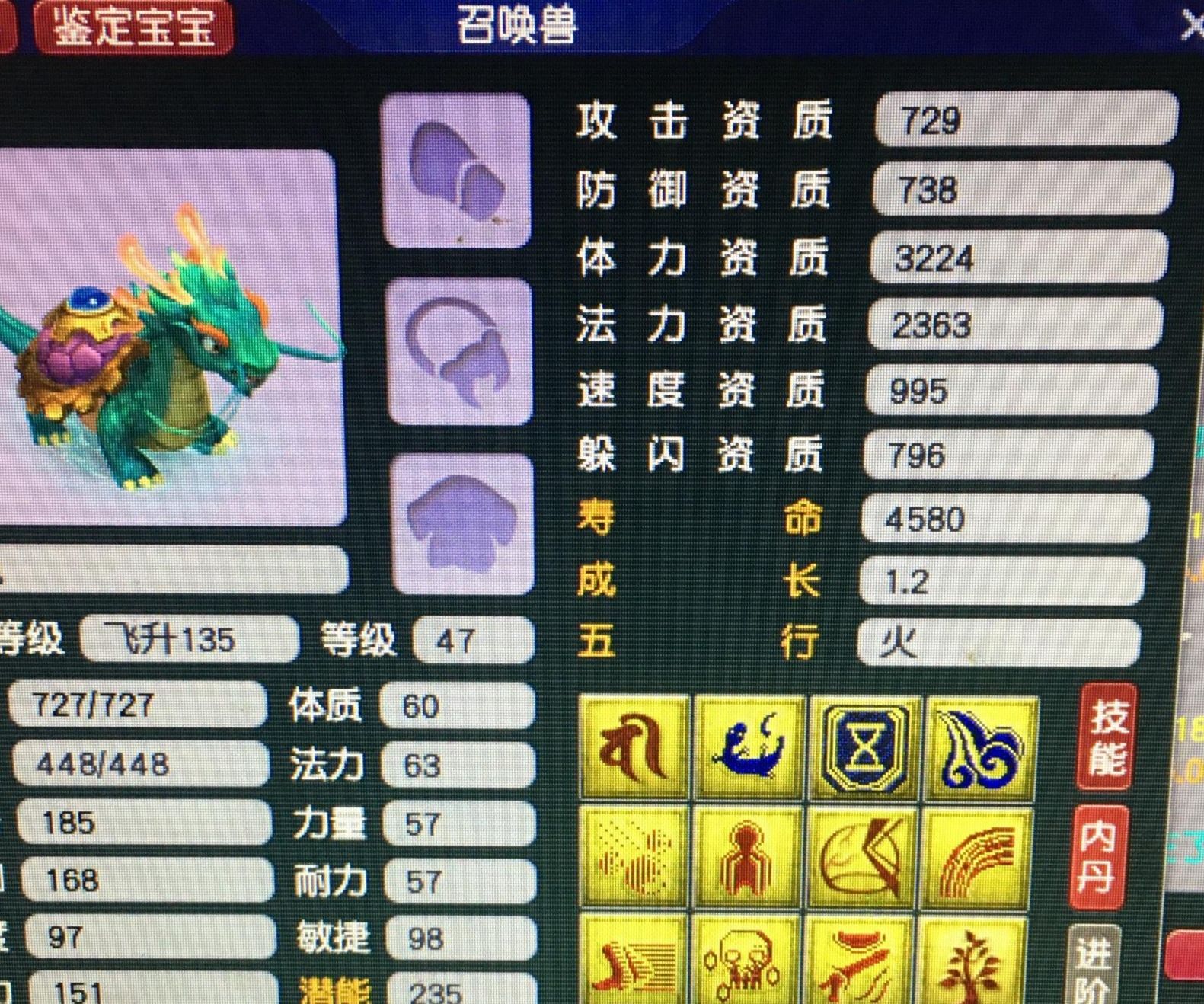 梦幻西游超级个性龙龟诞生附加四大特殊技能它的存在遭到怀疑