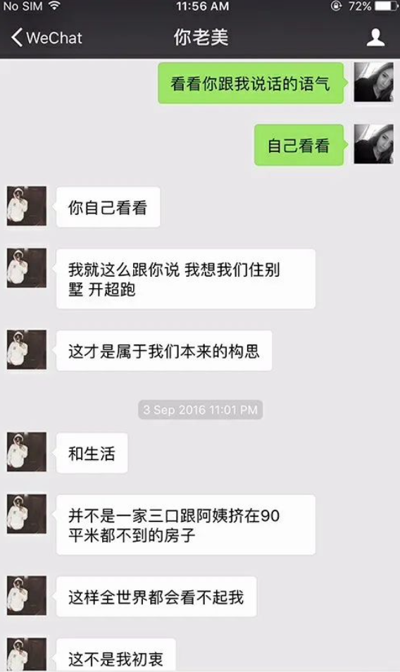 新女友自称沙袋,前妻曾因家暴胎停|刘洲成|林苗|至上励合_新浪新闻
