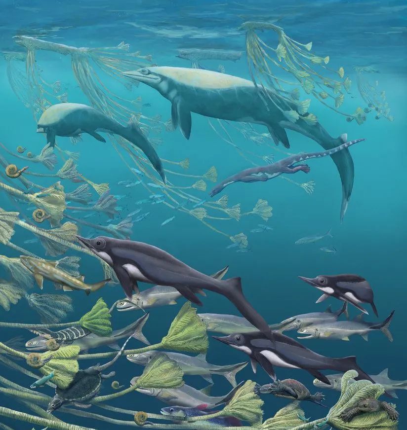 三叠纪动荡的纪元在灭绝中寻找出路