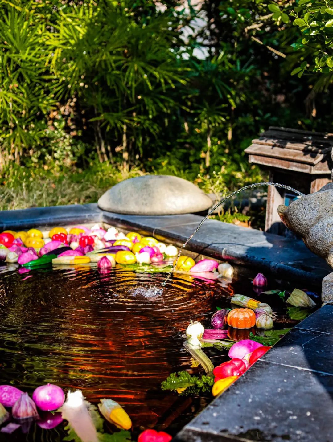 放假通知！贵州多家景区推出“3·8”妇女节优惠活动！休闲区蓝鸢梦想 - Www.slyday.coM