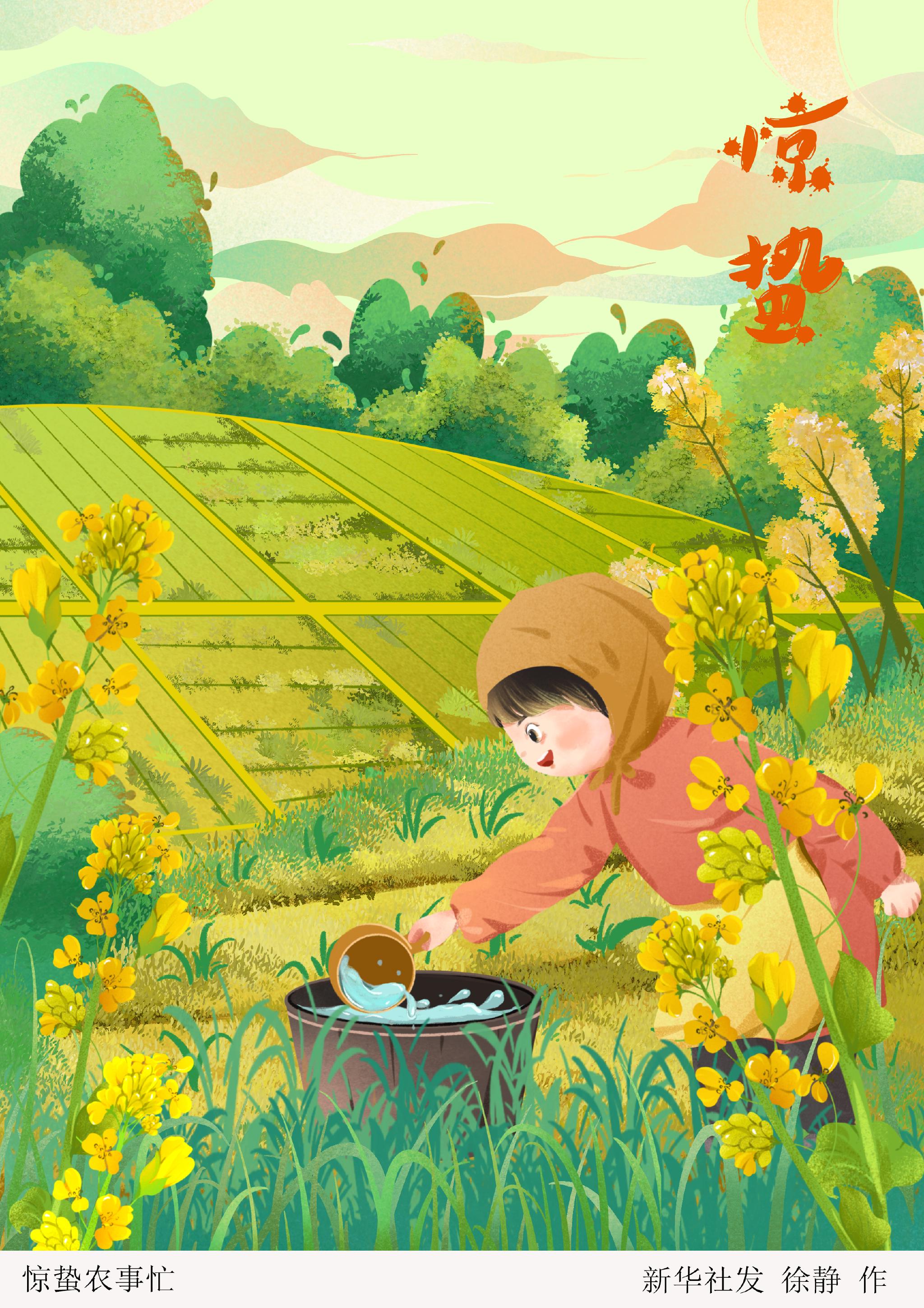惊蛰农事忙|插画_新浪新闻