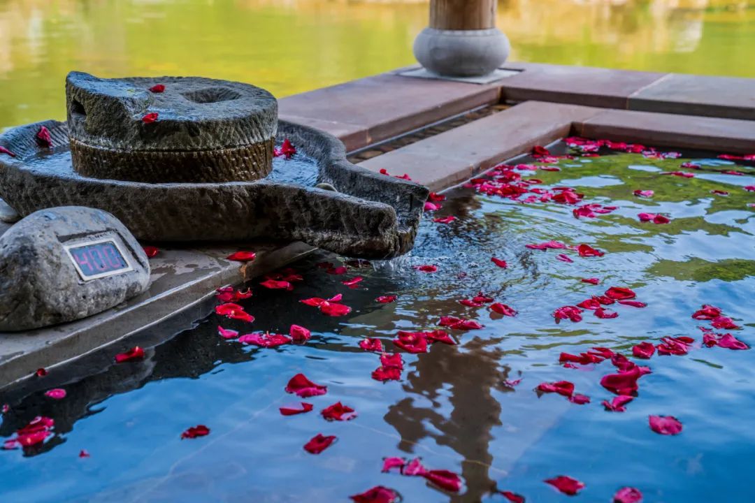 放假通知！贵州多家景区推出“3·8”妇女节优惠活动！休闲区蓝鸢梦想 - Www.slyday.coM