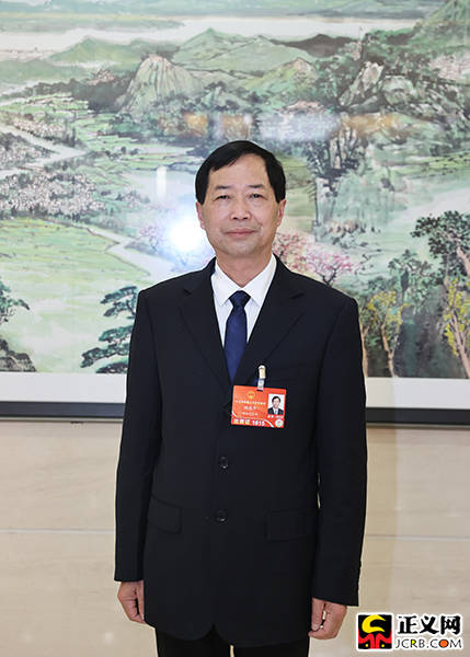 全国人大代表,湖北省监利市新沟镇向阳社区党支部书记顾想平