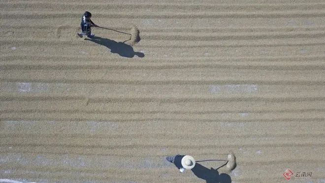 二月二龙抬头，云岭大地有了“新发型”休闲区蓝鸢梦想 - Www.slyday.coM