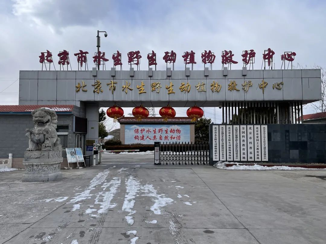 位于延庆区大榆树镇的北京市野生水生动植物救护中心.