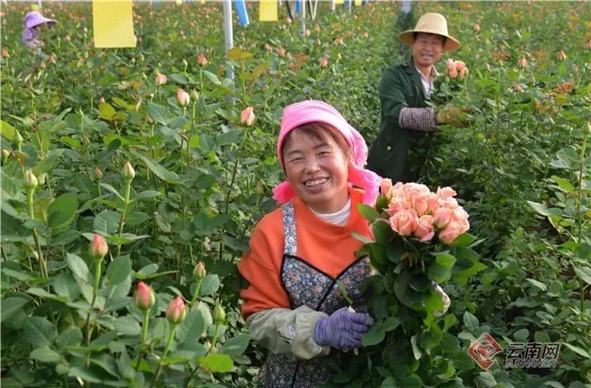 二月二龙抬头，云岭大地有了“新发型”休闲区蓝鸢梦想 - Www.slyday.coM