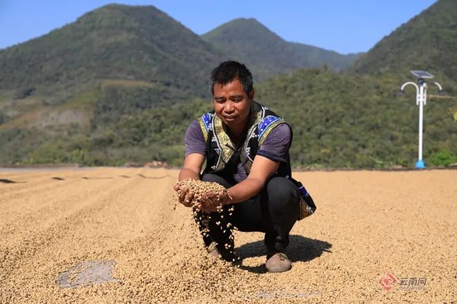 二月二龙抬头，云岭大地有了“新发型”休闲区蓝鸢梦想 - Www.slyday.coM
