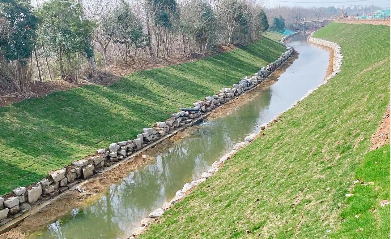 高淳漆桥开展水环境治理 助力守护绿水青山|绿水青山_新浪新闻