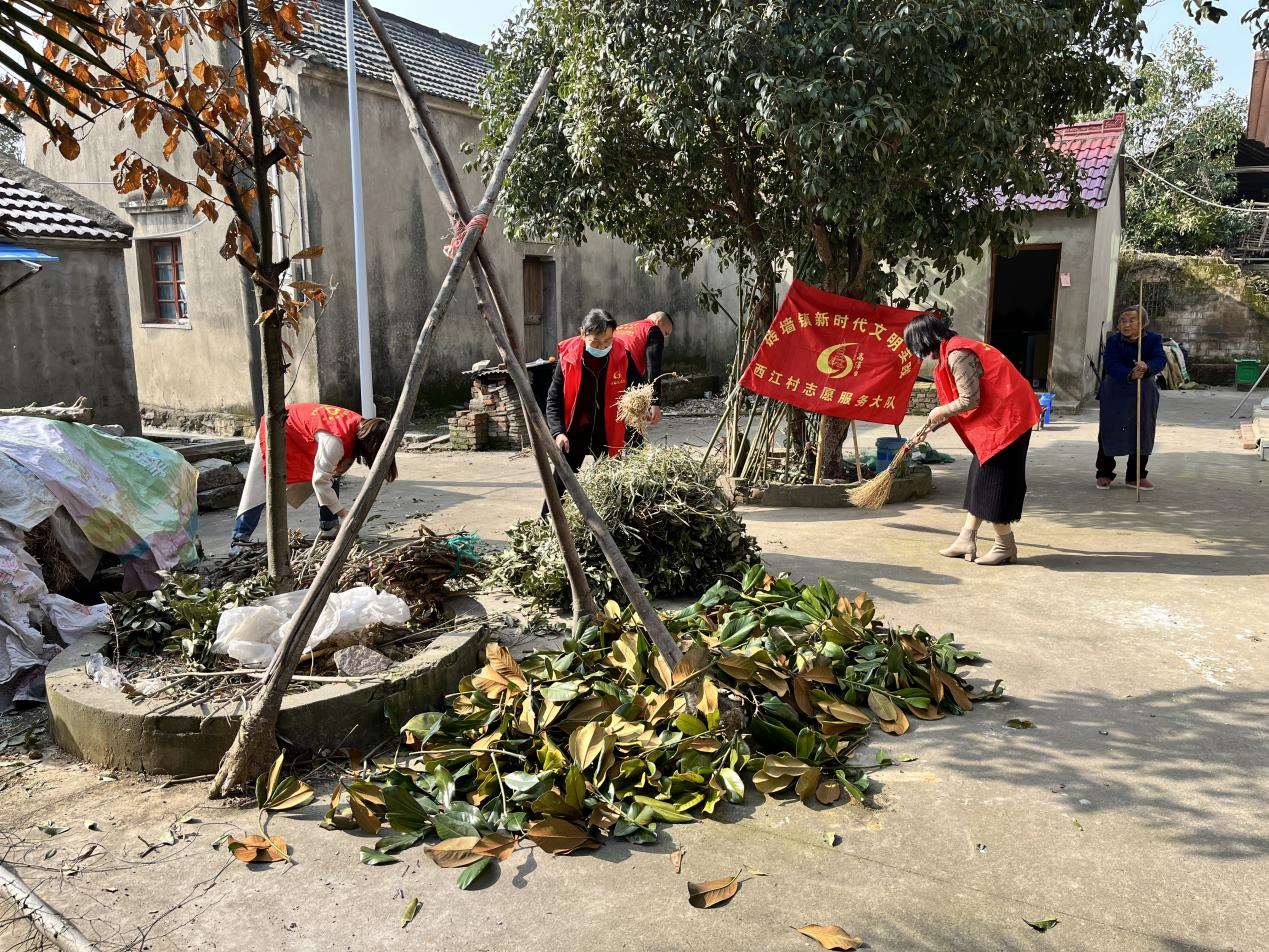 高淳砖墙镇：“冬训+”学雷锋志愿活动 让党员冬训从“学”到“行”休闲区蓝鸢梦想 - Www.slyday.coM