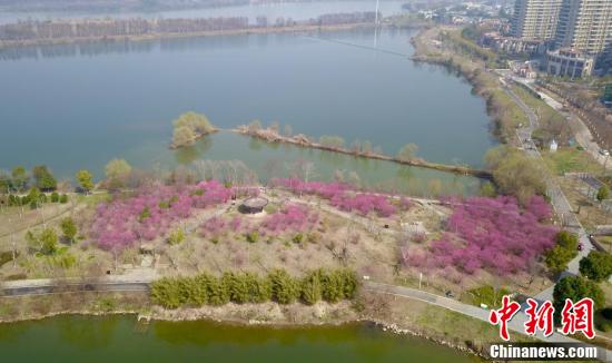 武汉金银湖绿道上梅花盛开休闲区蓝鸢梦想 - Www.slyday.coM