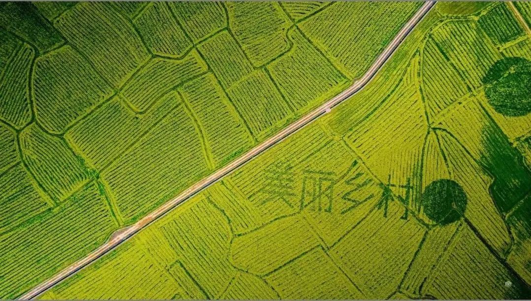 二月二龙抬头，来郴州看油菜花吧！休闲区蓝鸢梦想 - Www.slyday.coM