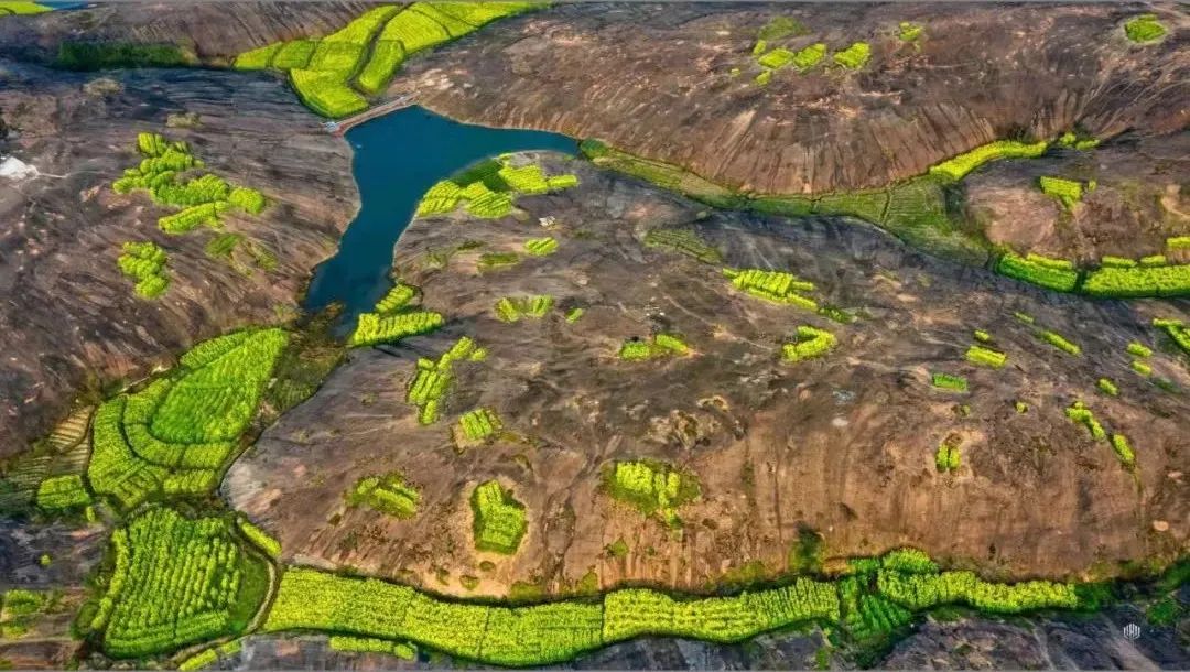 二月二龙抬头，来郴州看油菜花吧！休闲区蓝鸢梦想 - Www.slyday.coM