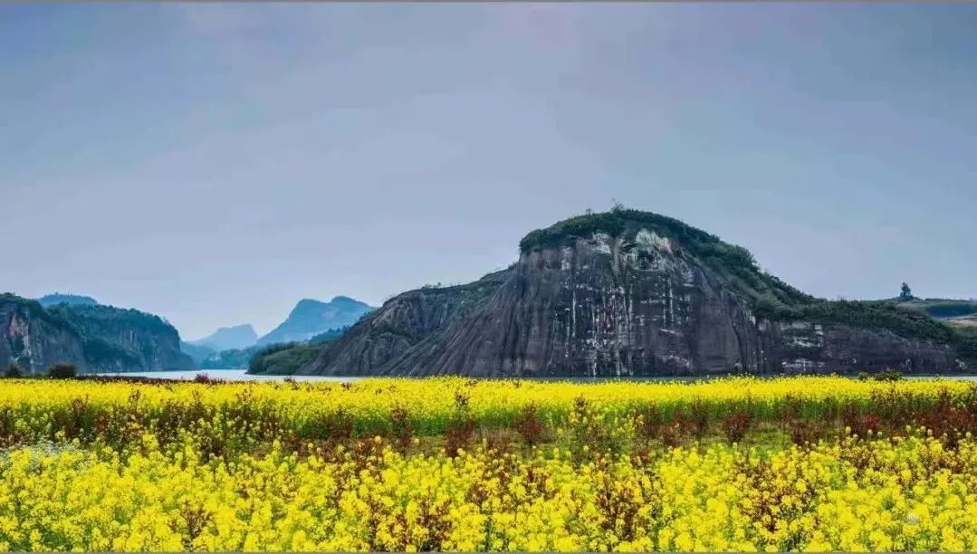 二月二龙抬头，来郴州看油菜花吧！休闲区蓝鸢梦想 - Www.slyday.coM