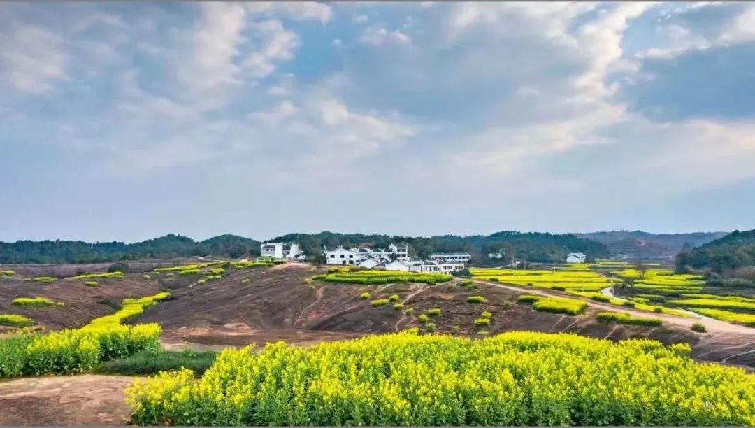 二月二龙抬头，来郴州看油菜花吧！休闲区蓝鸢梦想 - Www.slyday.coM