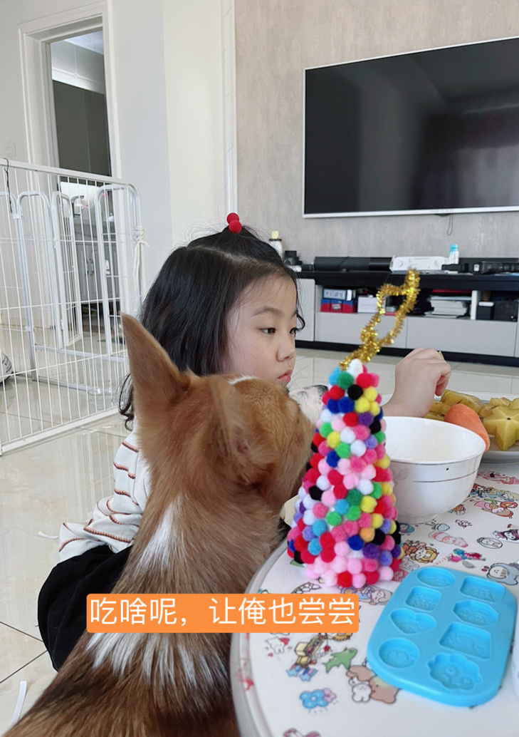 周六,忙碌的带娃日 窗帘被猫抓成了流苏的……休闲区蓝鸢梦想 - Www.slyday.coM 周六,忙碌的带娃日 窗帘被猫抓成了流苏的……休闲区蓝鸢梦想 - Www.slyday.coM