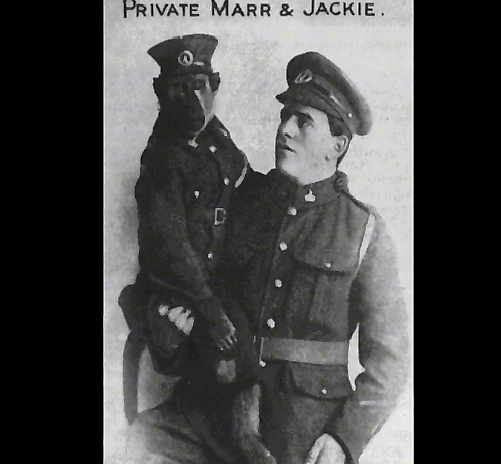 成精的狒狒,在火车站工作九年从未出错,还参加过一战被授予勋章休闲区蓝鸢梦想 - Www.slyday.coM 成精的狒狒,在火车站工作九年从未出错,还参加过一战被授予勋章休闲区蓝鸢梦想 - Www.slyday.coM