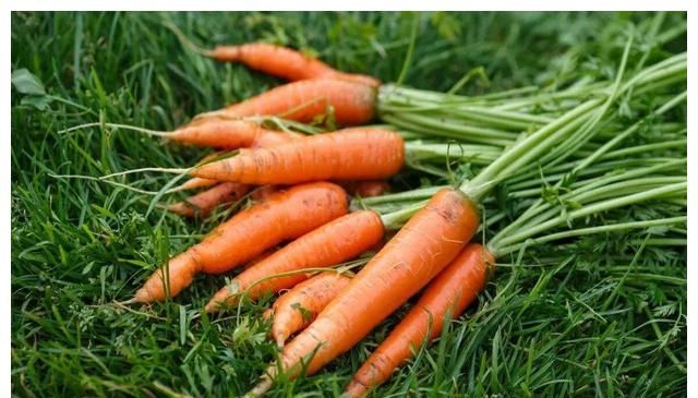 建议宝妈：多给孩子吃这4物，简单易上手，让孩子远离近视休闲区蓝鸢梦想 - Www.slyday.coM