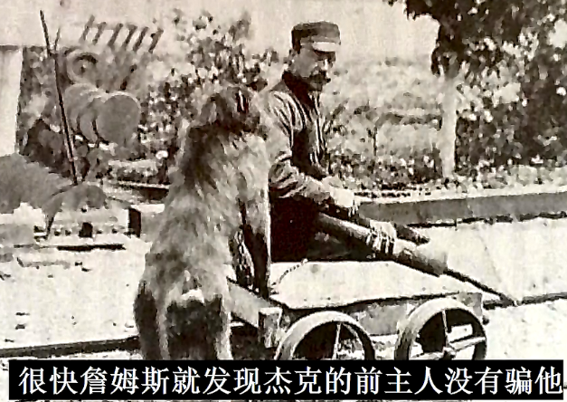 成精的狒狒,在火车站工作九年从未出错,还参加过一战被授予勋章休闲区蓝鸢梦想 - Www.slyday.coM 成精的狒狒,在火车站工作九年从未出错,还参加过一战被授予勋章休闲区蓝鸢梦想 - Www.slyday.coM