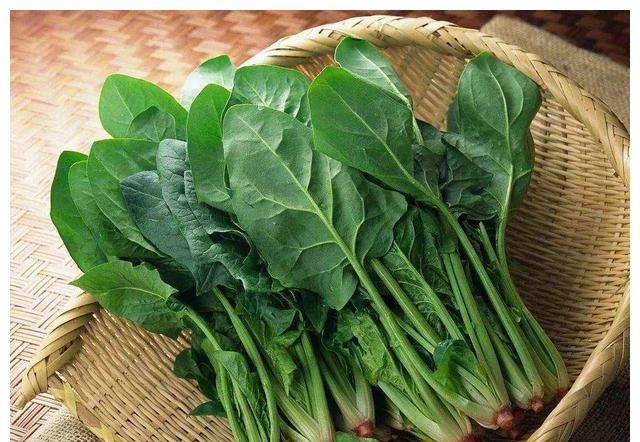 建议宝妈：多给孩子吃这4物，简单易上手，让孩子远离近视休闲区蓝鸢梦想 - Www.slyday.coM