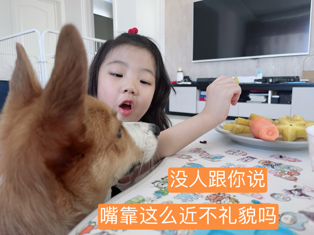 周六,忙碌的带娃日 窗帘被猫抓成了流苏的……休闲区蓝鸢梦想 - Www.slyday.coM 周六,忙碌的带娃日 窗帘被猫抓成了流苏的……休闲区蓝鸢梦想 - Www.slyday.coM