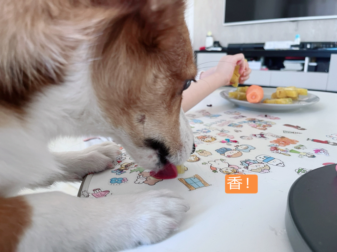 周六,忙碌的带娃日 窗帘被猫抓成了流苏的……休闲区蓝鸢梦想 - Www.slyday.coM 周六,忙碌的带娃日 窗帘被猫抓成了流苏的……休闲区蓝鸢梦想 - Www.slyday.coM