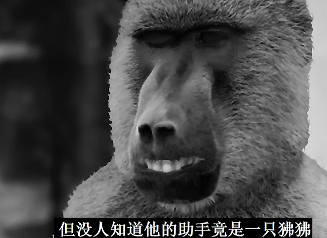 成精的狒狒,在火车站工作九年从未出错,还参加过一战被授予勋章休闲区蓝鸢梦想 - Www.slyday.coM 成精的狒狒,在火车站工作九年从未出错,还参加过一战被授予勋章休闲区蓝鸢梦想 - Www.slyday.coM