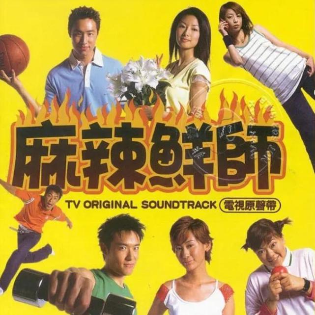 但是提到《麻辣鲜师》,《第八号当铺》,《海豚湾恋人》这几部电视剧