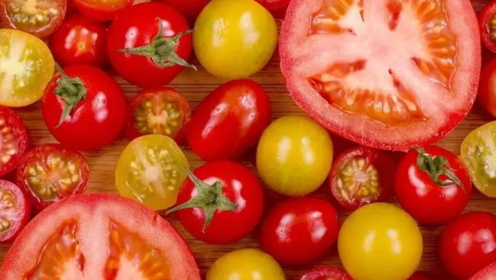 常吃西红柿能白捡2个好处但生吃好还是熟吃好权威答案来了