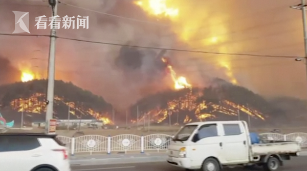 视频｜韩国山火烧至核电站附近 6000多名居民紧急疏散休闲区蓝鸢梦想 - Www.slyday.coM