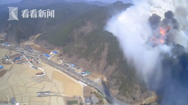 视频｜韩国山火烧至核电站附近 6000多名居民紧急疏散休闲区蓝鸢梦想 - Www.slyday.coM