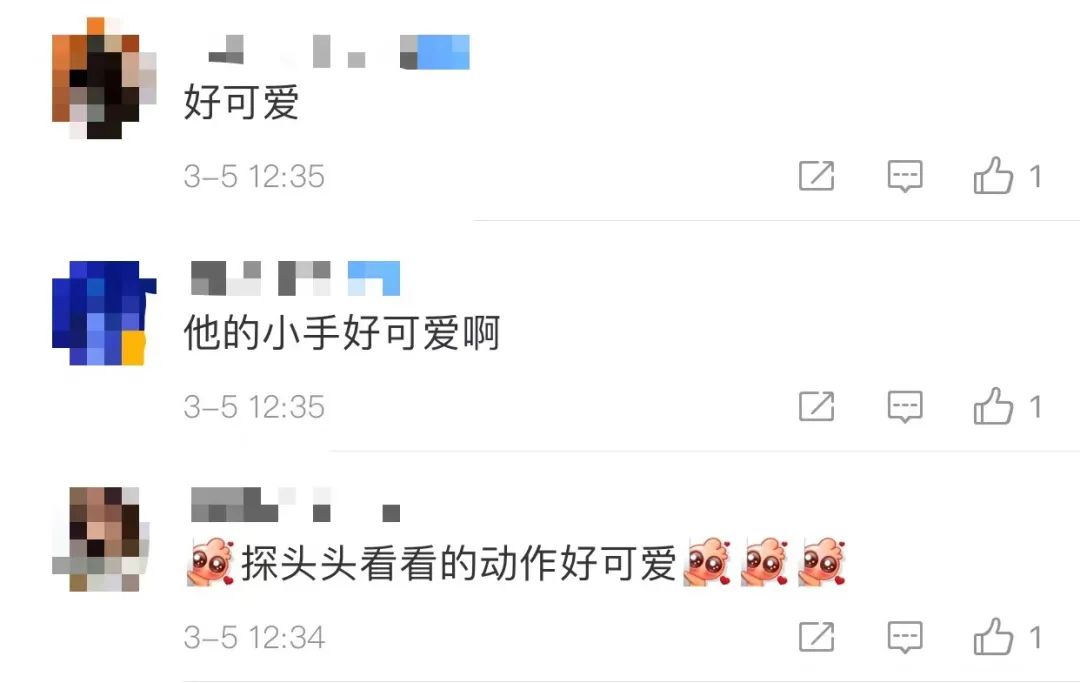 中国队喜提8个“金容融”！休闲区蓝鸢梦想 - Www.slyday.coM