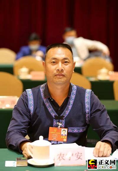 全国人大代表,云南省文山州富宁县木央镇木杠村村民农宁安