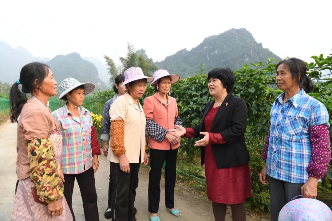 杜丽群（右二）在广西百色市了解农村医疗保障情况。新华社记者陆波岸 摄