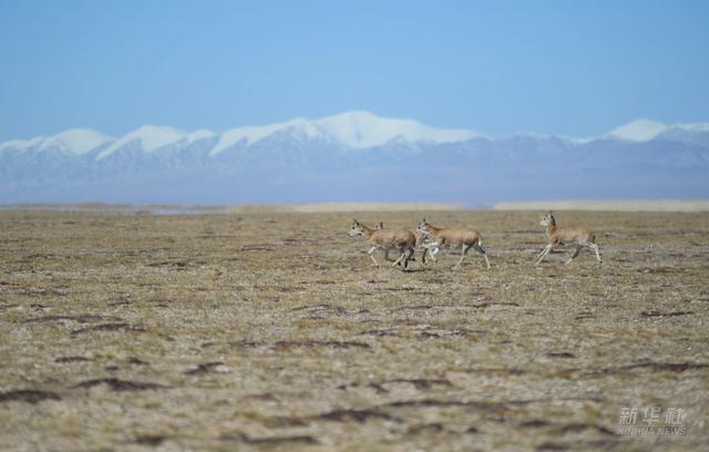 镜观·领航丨这一年，总书记的“两会关切”这样落实休闲区蓝鸢梦想 - Www.slyday.coM