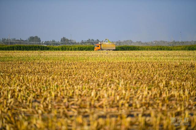 镜观·领航丨这一年，总书记的“两会关切”这样落实休闲区蓝鸢梦想 - Www.slyday.coM
