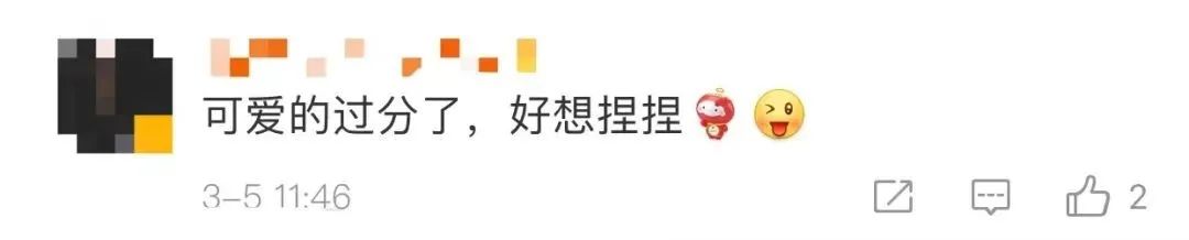 中国队喜提8个“金容融”！休闲区蓝鸢梦想 - Www.slyday.coM