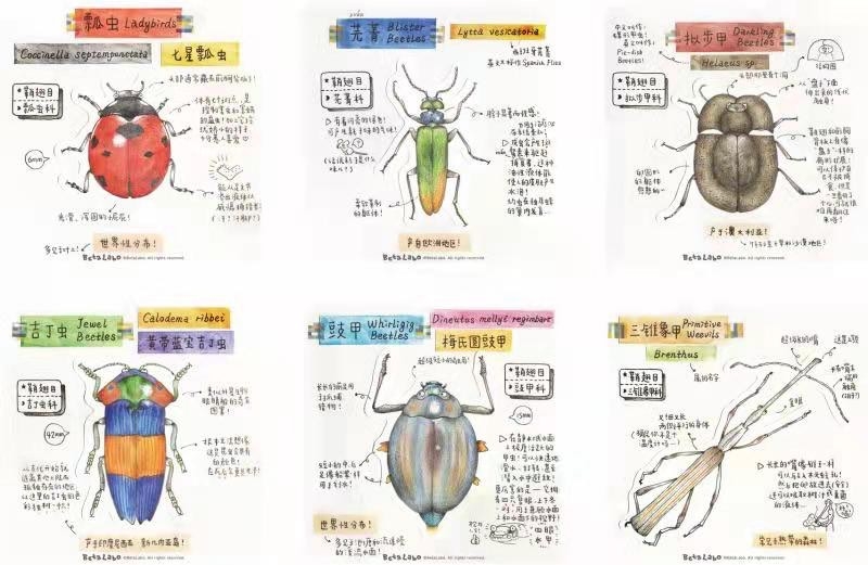 【顺时而生】惊蛰！Awakening of Insects｜双语版二十四节气 24 Solar Terms|感冒_新浪新闻