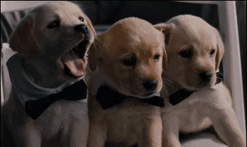 春季失眠睡不好？别着急，这5招帮你沾床就睡！休闲区蓝鸢梦想 - Www.slyday.coM