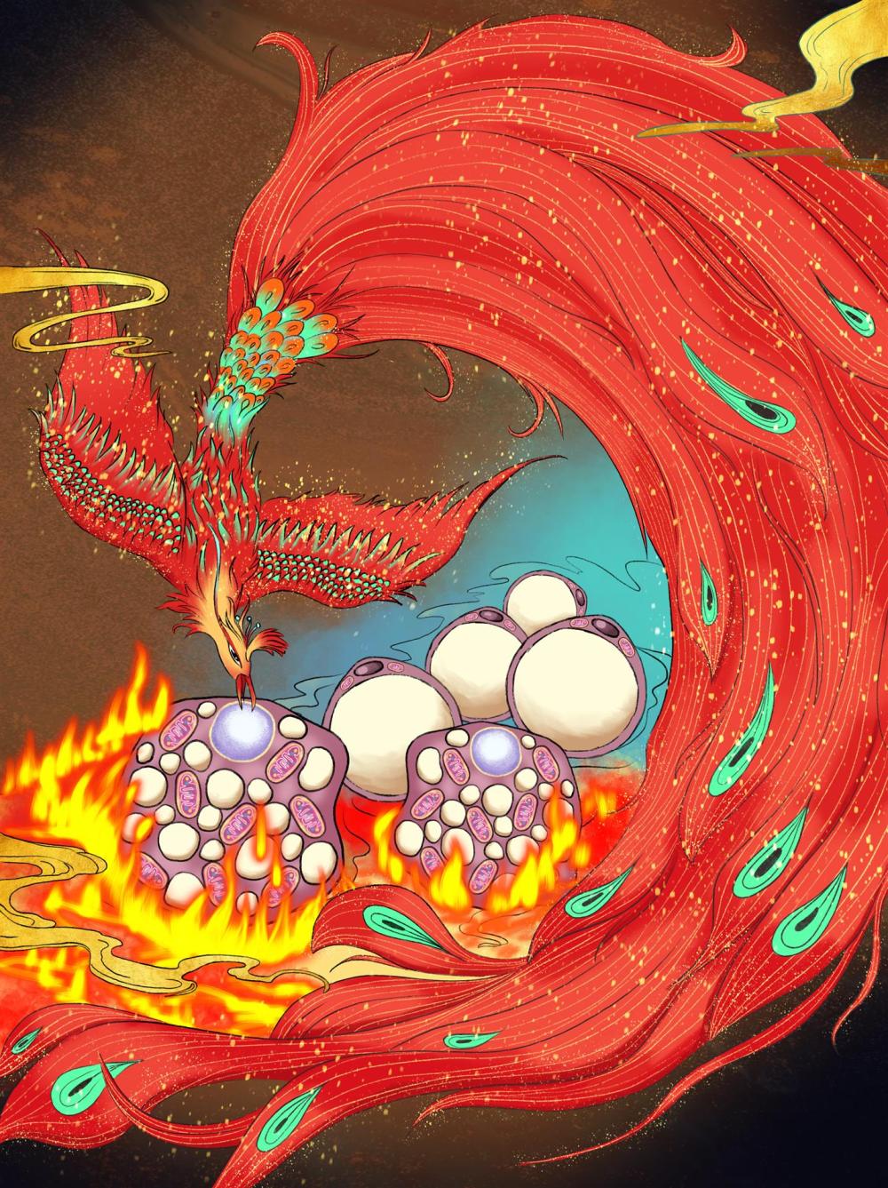 登上《细胞Cell》封面！中国科学家发现减肥新方法，局部热疗燃烧脂肪休闲区蓝鸢梦想 - Www.slyday.coM