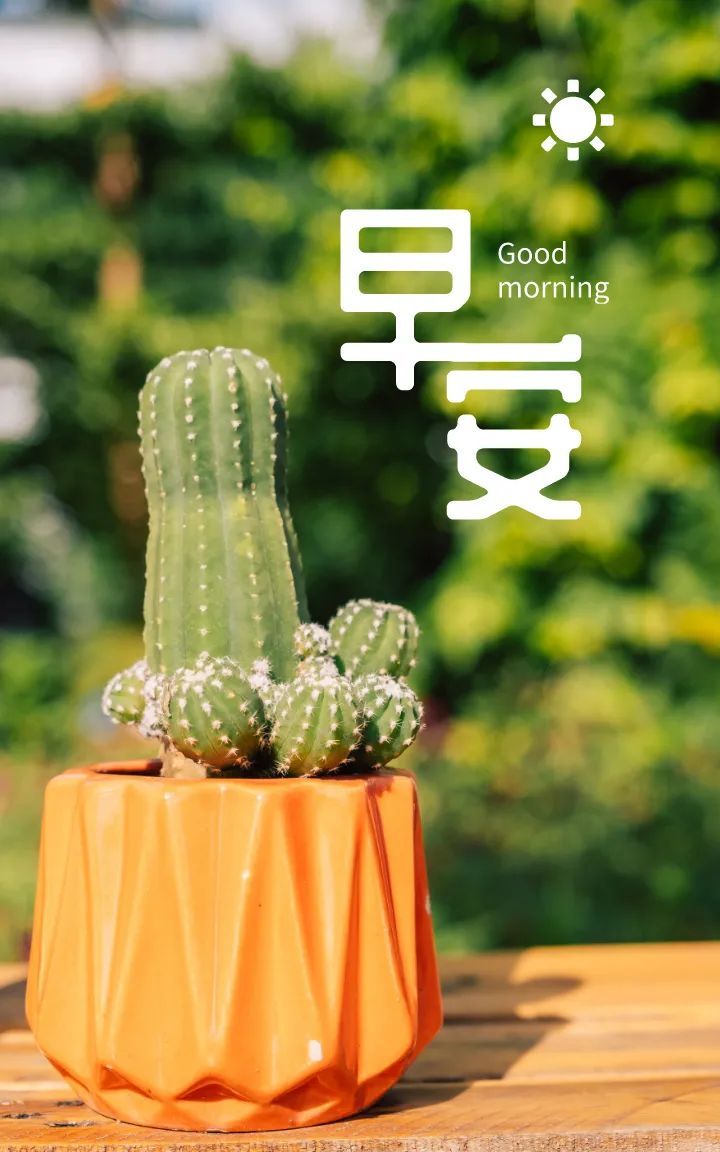 早安问候语录励志句子图片