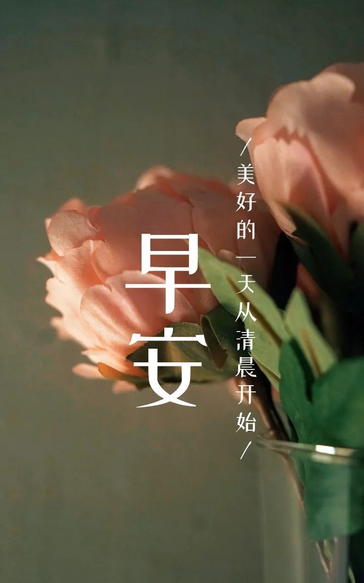 早安问候语录励志句子图片