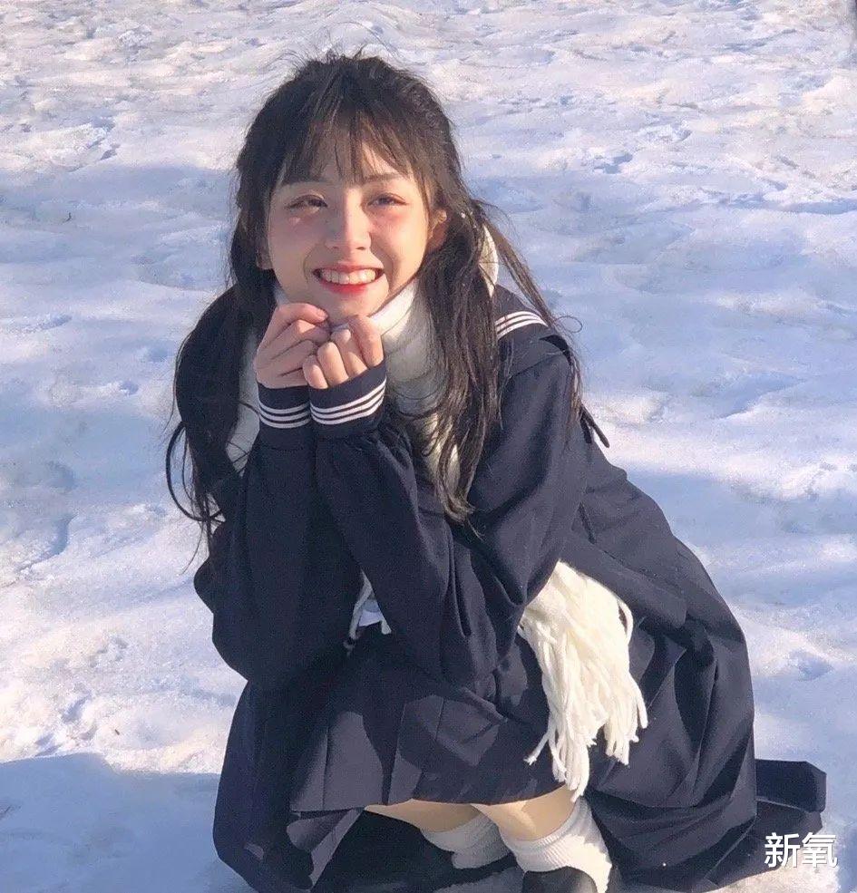 宝可梦朱紫中如何捕捉古月鸟