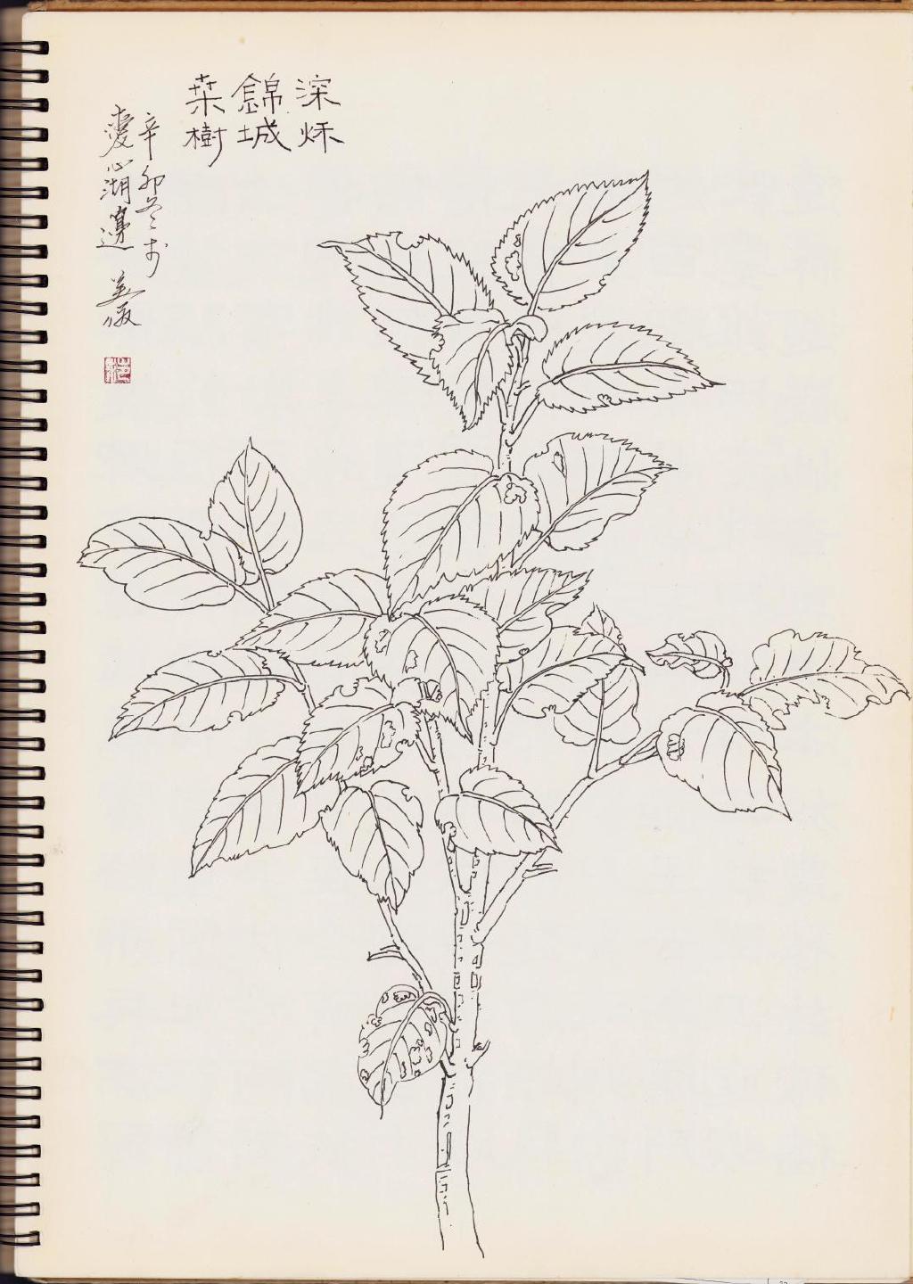 品鉴| 范美俊的钢笔画教学示范|范美俊|素描|钢笔画_新浪新闻