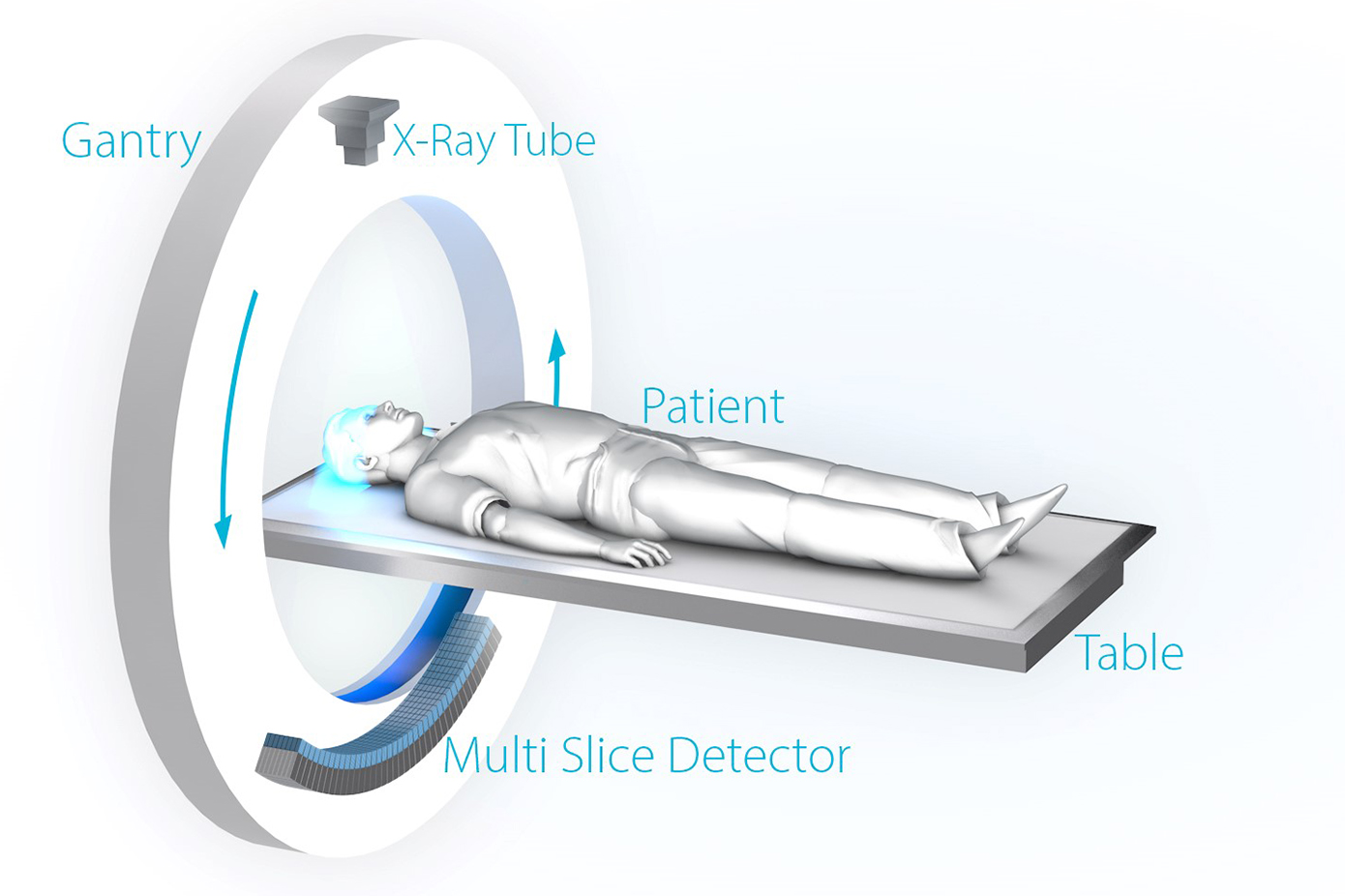 日本人鱼木乃伊开箱据传有286年历史科学家用ct扫描确认身份
