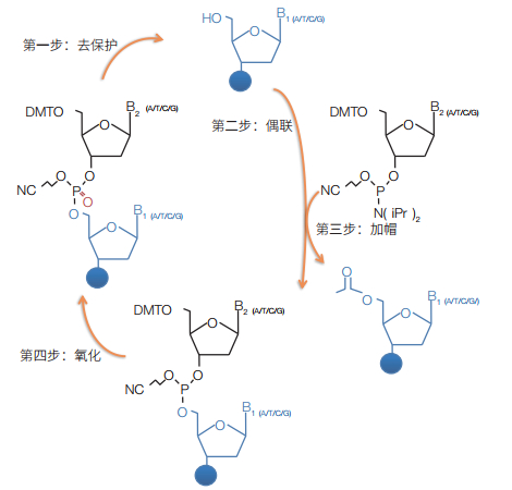 PS怎么合成万圣节恐怖人脸图 ps怎样把两张脸合成一张脸