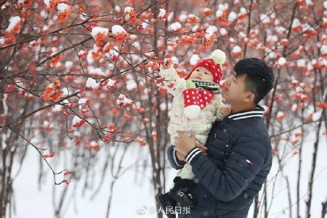 针对三孩生育政策休闲区蓝鸢梦想 - Www.slyday.coM