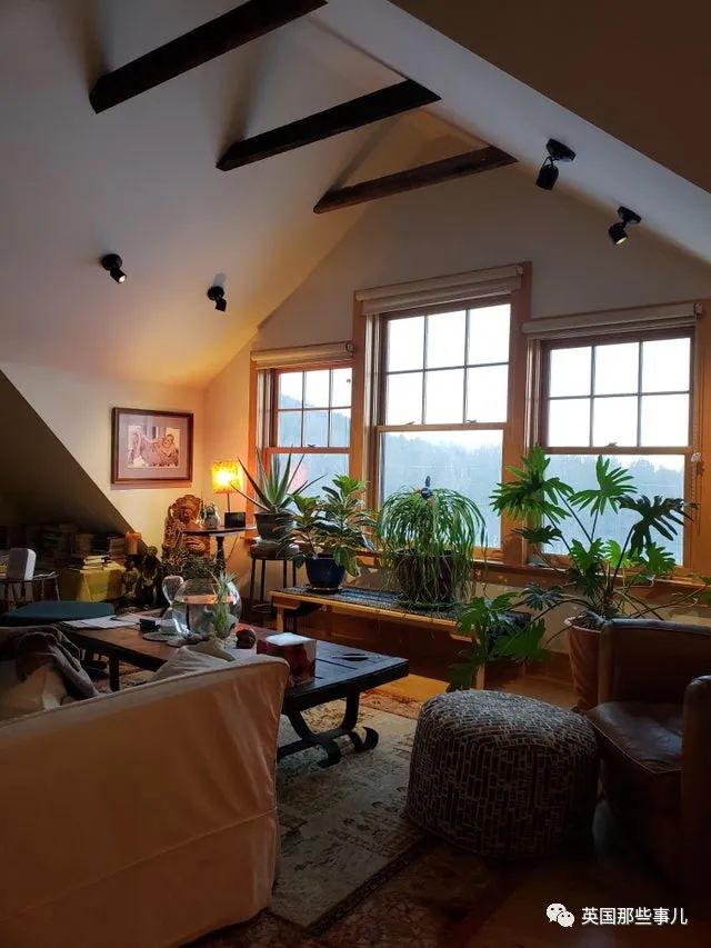 歪果网友分享自家的美妙一角光是看看就觉得很减压啊