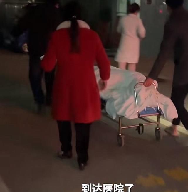 网红牛爱芳回应“假生风波”：发长文解释诸多质疑，诚恳道歉休闲区蓝鸢梦想 - Www.slyday.coM