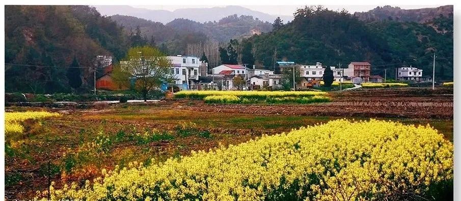 为什么我们不能早一点理解父母,为父母分忧?休闲区蓝鸢梦想 - Www.slyday.coM 为什么我们不能早一点理解父母,为父母分忧?休闲区蓝鸢梦想 - Www.slyday.coM