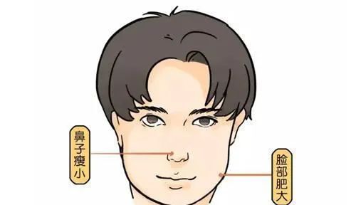 投身于仕途是很多人的梦想,毕竟手握重权能够给人带来难以名状的快感.